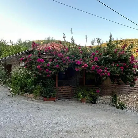 아파트 Elena's House Medium 시보타